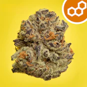 Berry Pi 41663