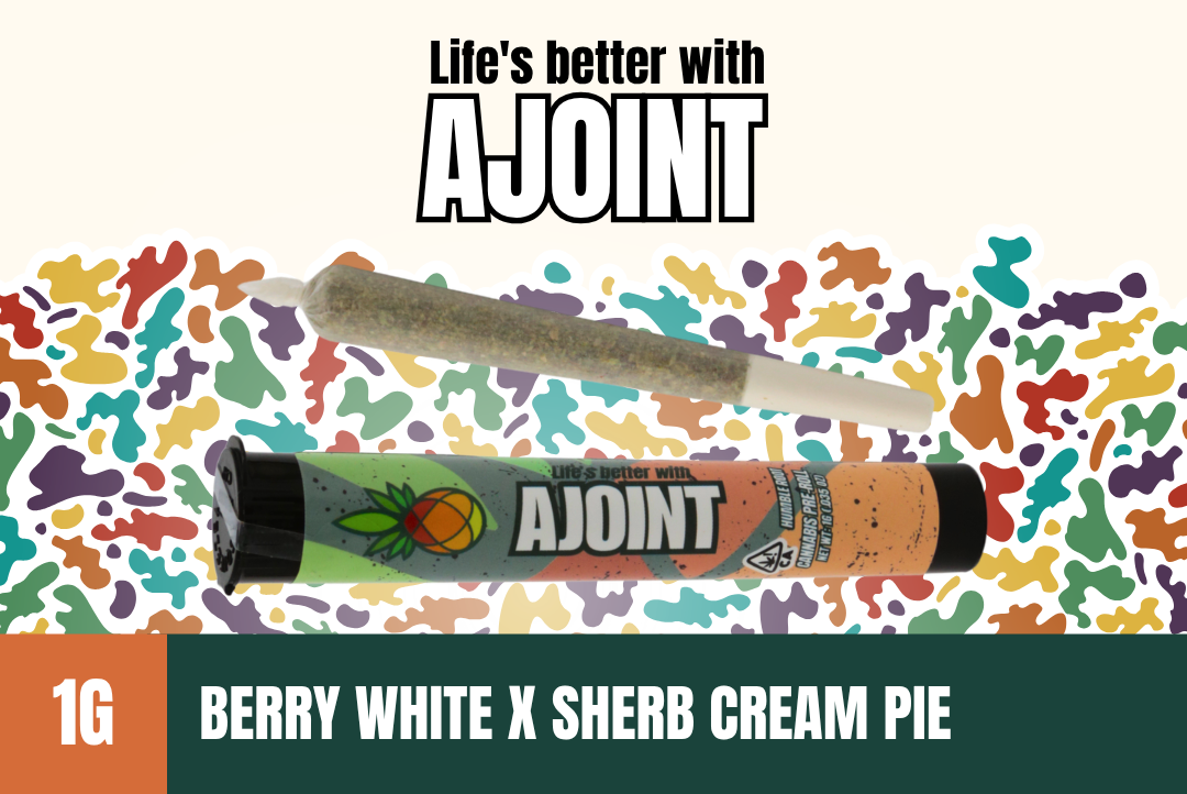 1g Berry White x Sherb Cream Pie Pre-Roll - Humble Root picture