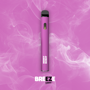 Breeze - Breeze Disposable - Berry Burst -1G