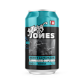 Berry Lemonade Soda | 12oz 100mg (THC)