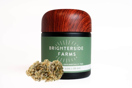 Brighterside - [REC] Brighterside | GMac | 3.5g Premium Flower