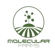 Zkittlez OG 3.5g (Indica-Hybrid) by Molecular Farms