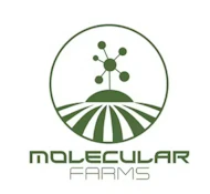 Chem 28- 3.5 Sativa G By Molecular Farms