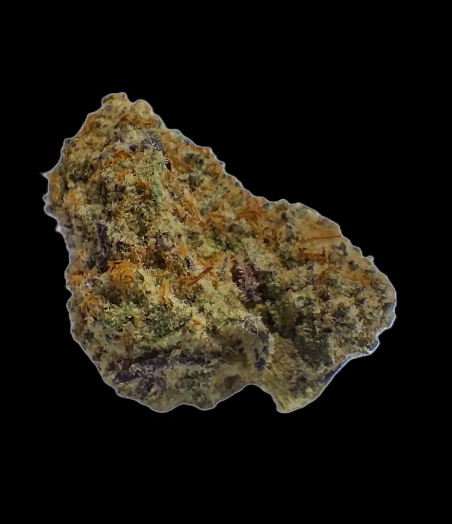 Lyra - Best Day Ever Bulk Flower Main Image