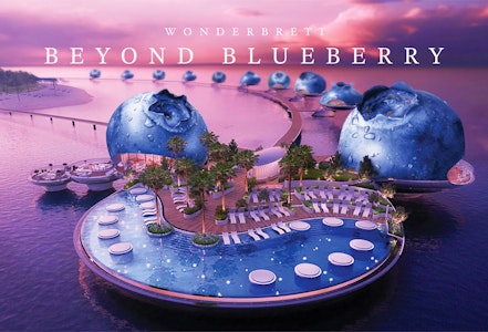 Bliss Co/Wonderbrett - Beyond Blueberry 3.5g