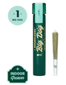 Brown Scout Big Dogs Preroll 1g