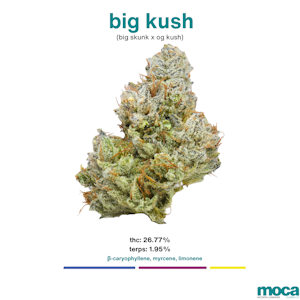 MOCA Flowers - MOCA Flowers - Smalls 1/4 Bag - Big Kush