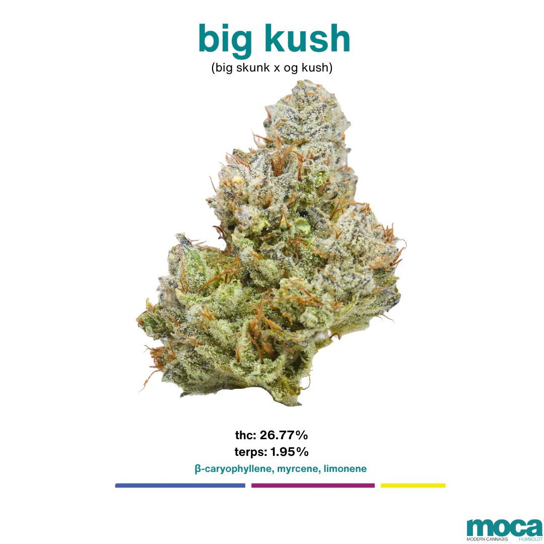MOCA Flowers - MOCA Flowers - Smalls 1/4 Bag - Big Kush Main Image