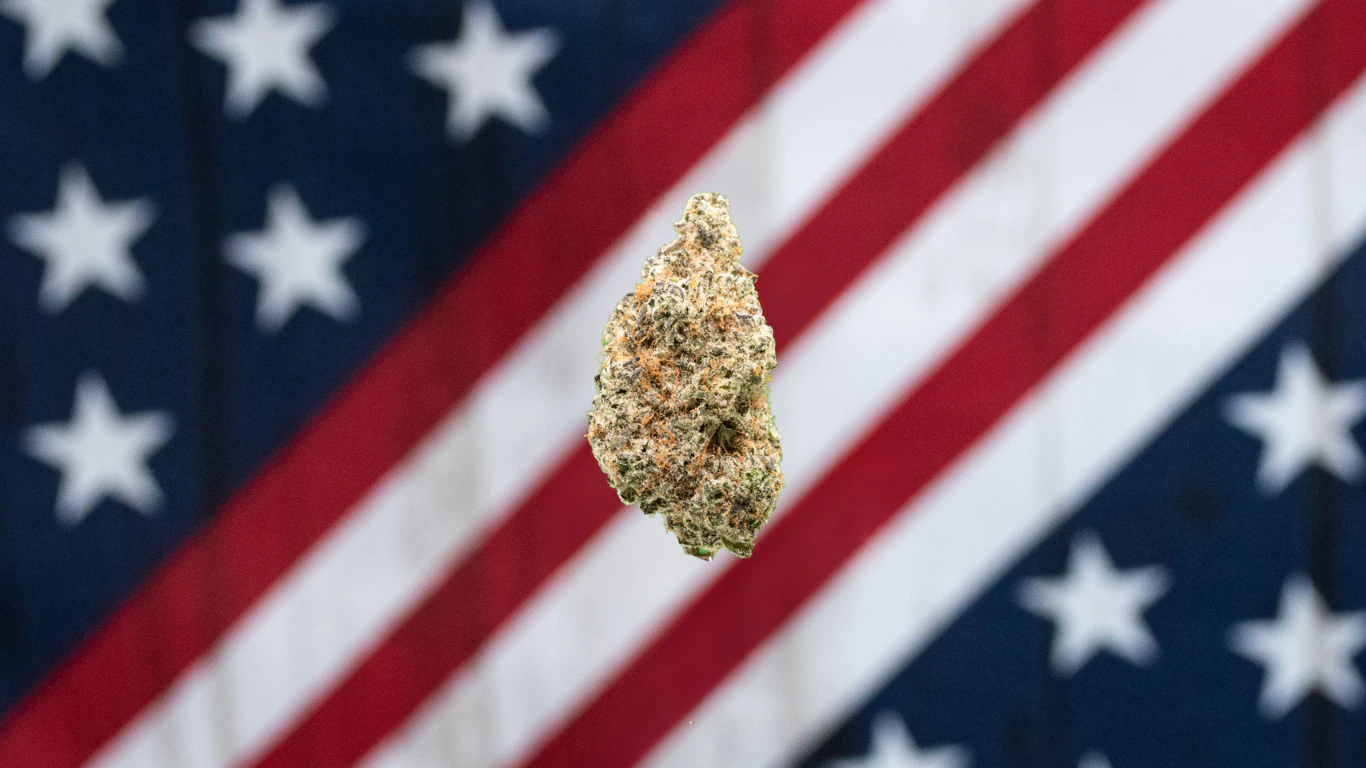 American Grown - American Grown-Biker OG Deli Flower Main Image
