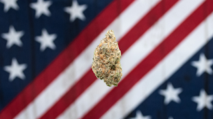 American Grown-Biker OG Deli F