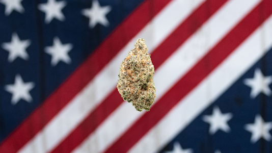 AMERICAN GROWN - American Grown-Biker OG Deli F