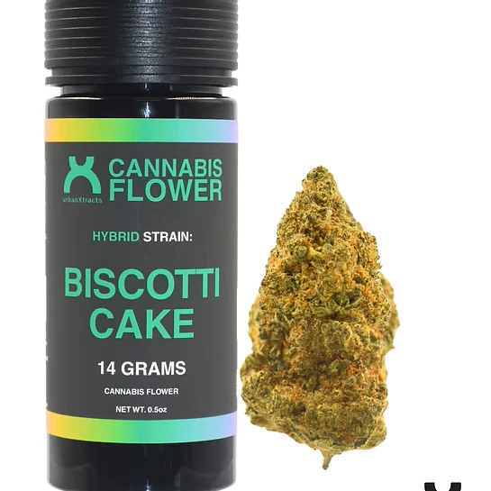 urbanXtracts - urbanXtracts | Biscotti Cake | 14g Main Image