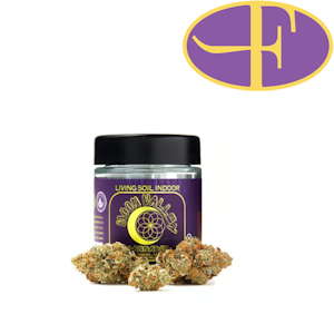 Moon Valley Organics - Biscotti Pancakes