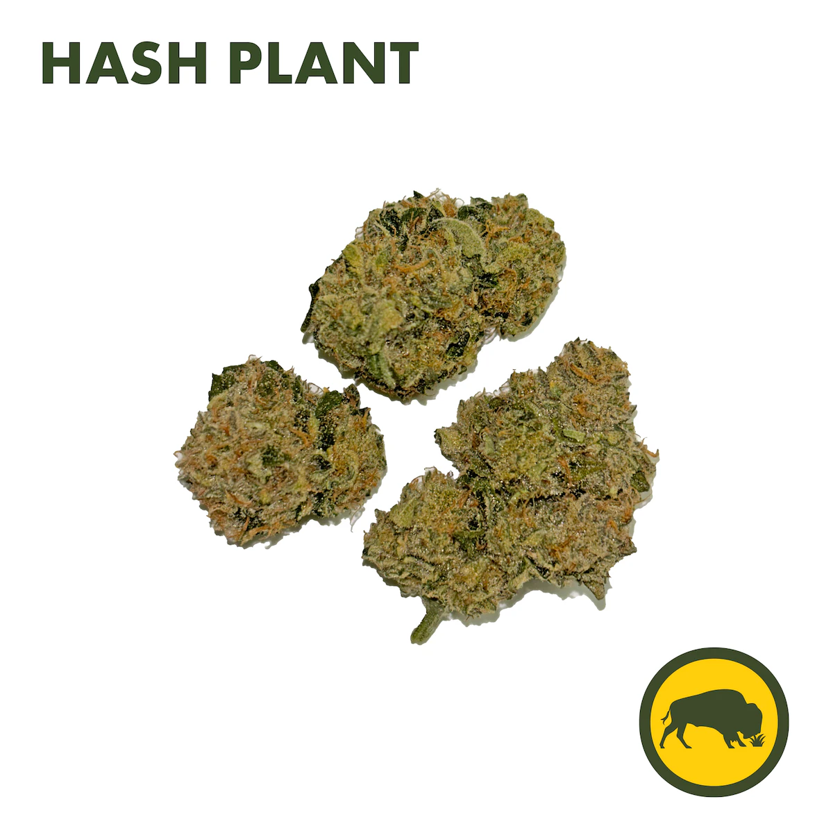 BISON BOTANICS - Hash Plant 3.5g Main Image