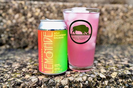 Bison Botanics - Z4 Bison Botanics Wild Strawberry Rhubarb 10mg Beverage