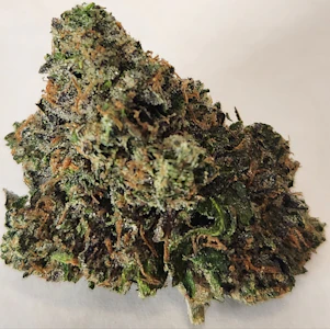 CAM - CAM | Biscotti  Exotic Top Shelf (7g)