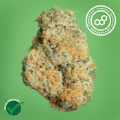 Black Cherry GMO 41372