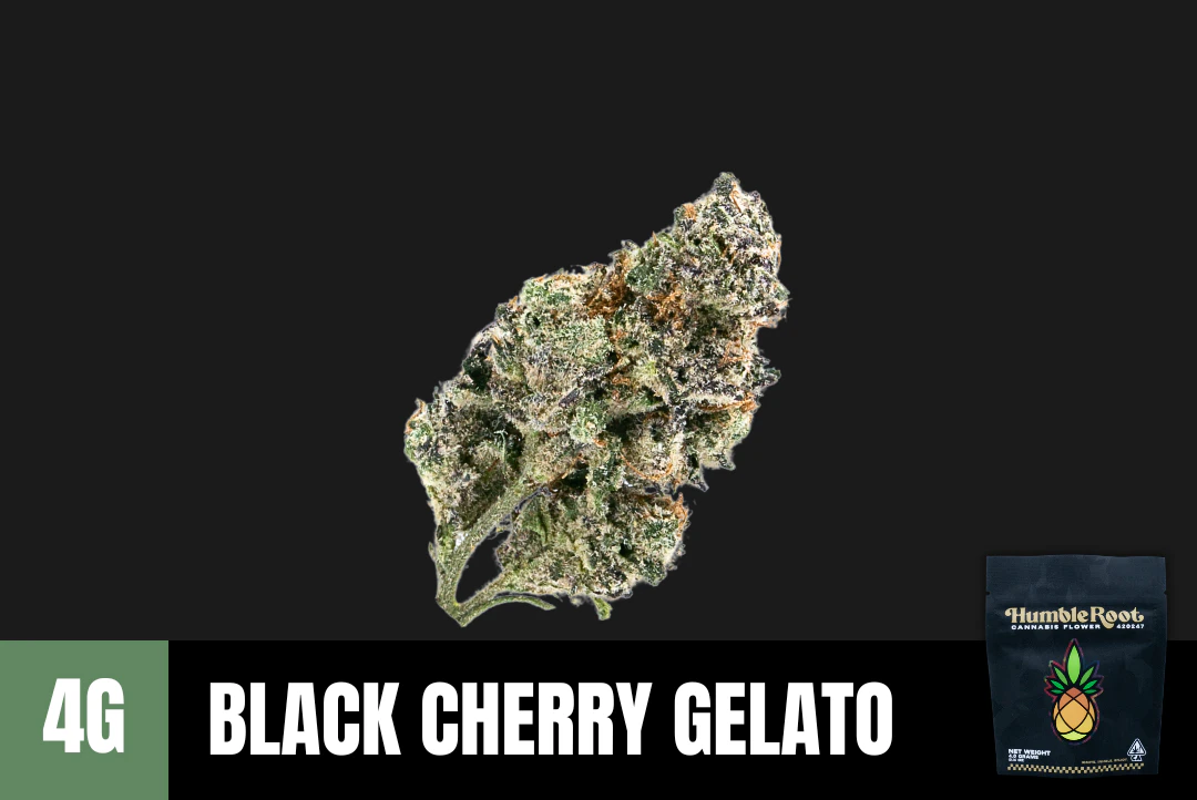 Humble Root - 4g Black Cherry Gelato (Indoor) - Humble Root Main Image