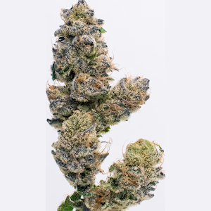 Northern Star Genetics - Northern Star - Black Cherry Turnover Indoor Flower 3.5g
