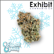 Black Licorice-Snowballs-By Eternal Fields-Deli Flower