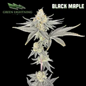[REC] Green Lightning | Black Maple | 3.5g Flower