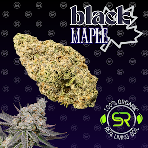 Strange Rootz - Black Maple - Buds (Hybrid)