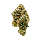 Umamii - Black Maple - 3.5g - Flower