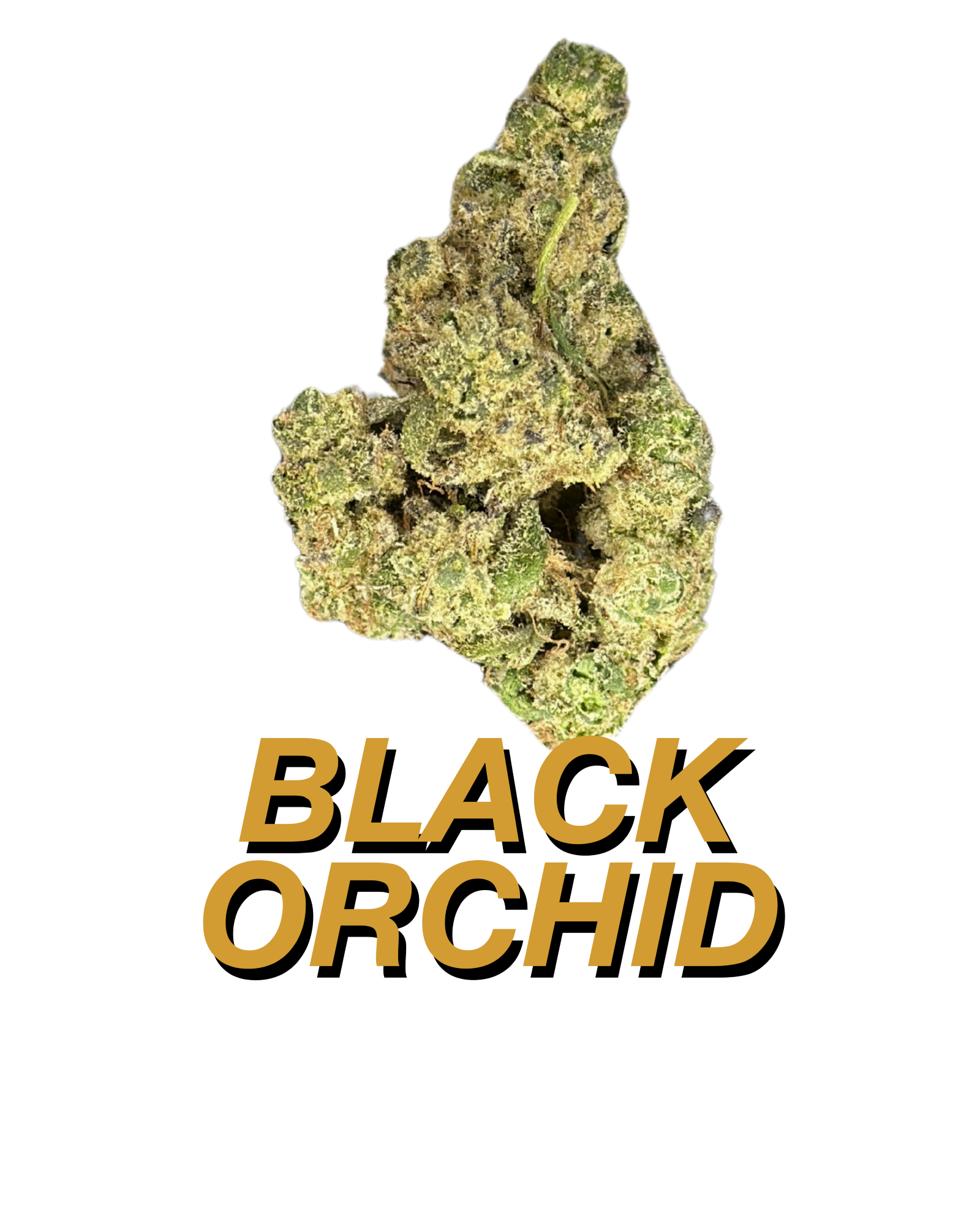 Black Orchard - 14g - Flower