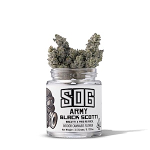 SOG ARMY - Black Scotti ( I ) 31.78% | SOG Army | 3.5g Jar