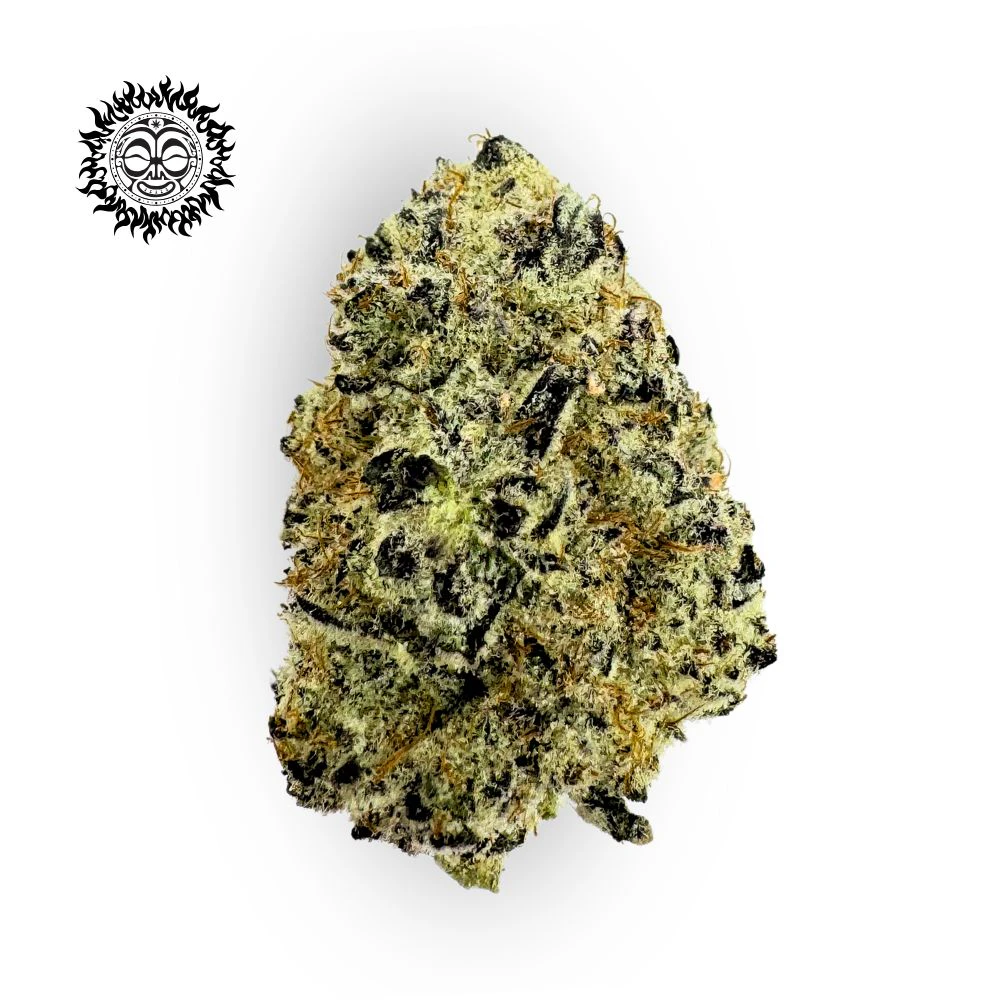 EFF! - Black Velvet Bulk Flower - EFF! (FIRE ISLAND) Main Image
