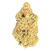Black Cherry Guava | Hybrid
