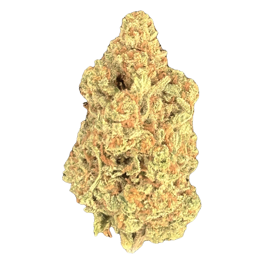 Gold Fish Farms - Black Cherry Guava | Hybrid Main Image