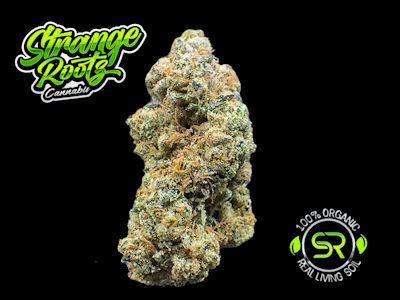 Strange Rootz - Black Maple (Buds)