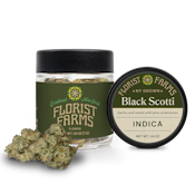 Black Scotti | 7g