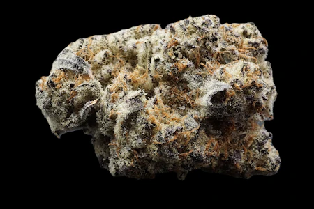 FROSTED FARMS - Black Velvet Bulk Flower