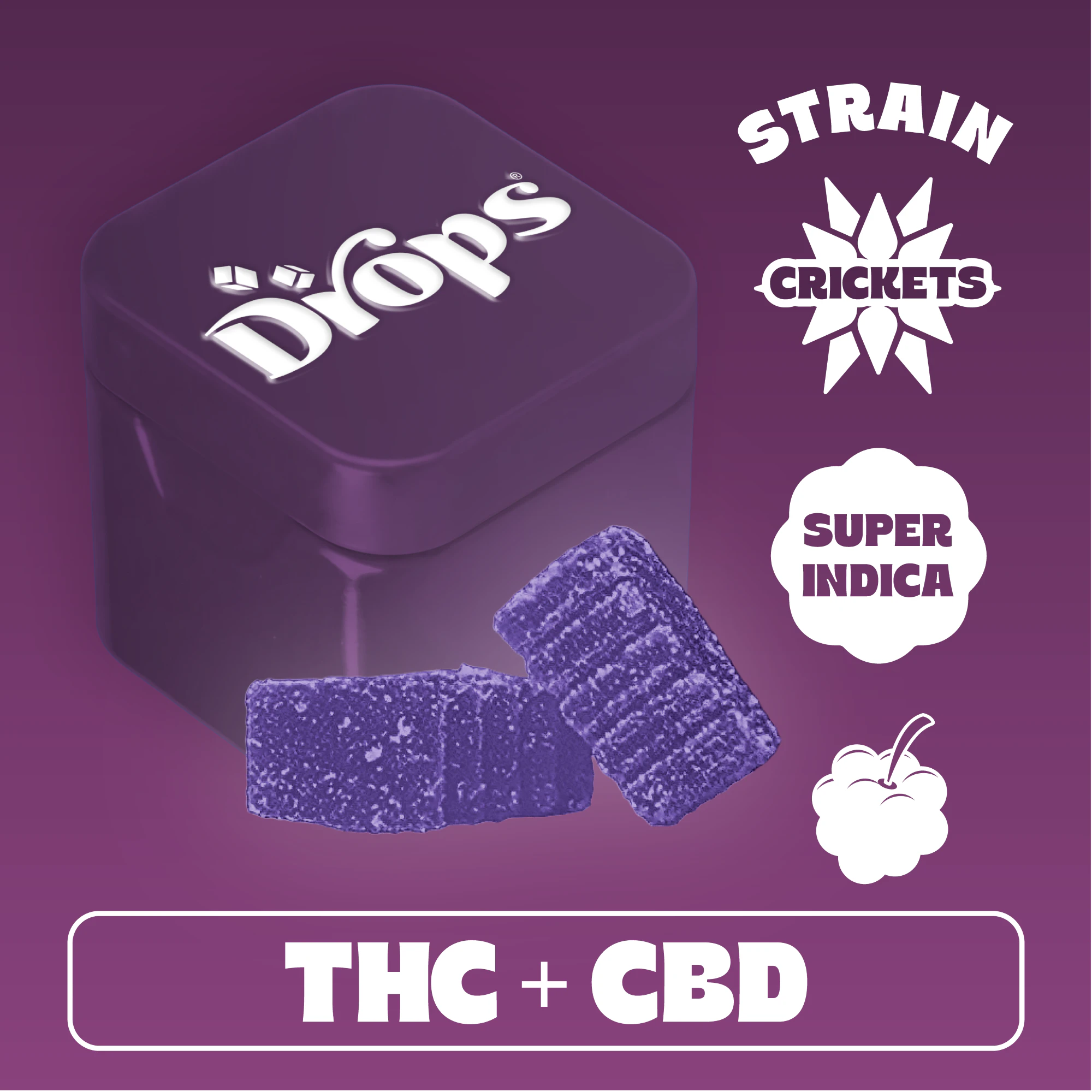 Drops - Drops | Live Rosin Gummies | Blackberry | Crickets | THC:CBD 1:2 | 100mg Main Image