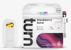 Turn 1g Blackberry Burst AIO Disposable