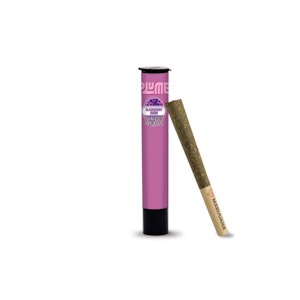 PLUME - PLUME - BLACKBERRY KUSH INFUSED PRE-ROLL 1 GRAM