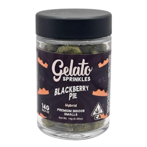GELATO - Blackberry Pie (H) | 14g Sprinkles Indoor Flower Smalls | Gelato