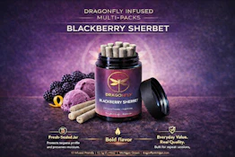 Blackberry Sherbet | Infused Pre-rolls | 1.25g 10-pack | Dragonfly