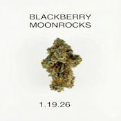TGH - Blackberry Moonrocks