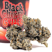 Cookies - Black Cherry Gelato - Flower Tub - 3.5G