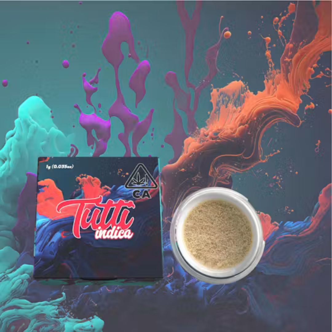 Tutti: Northern Lights