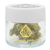 Northern Emerald - Tropical Thunder (H) - Indoor - 3.5g
