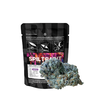 Buddaflies - Spilt Paint | 3.5g Flower