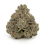 Bubblegum Runtz | 3.5g Reserve Indoor Selection