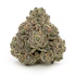 Product Preview Image 1