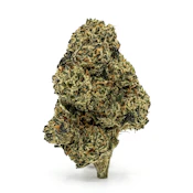 Cherry Glue | 3.5g Indoor Limited Batch