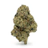 Product Preview Image 2
