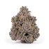 Product Preview Image 1